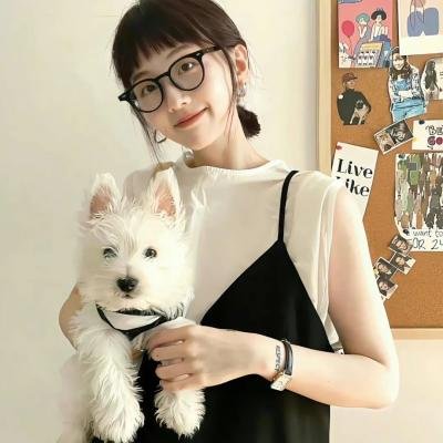 冰人来了海报